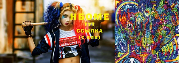 крисы Козельск
