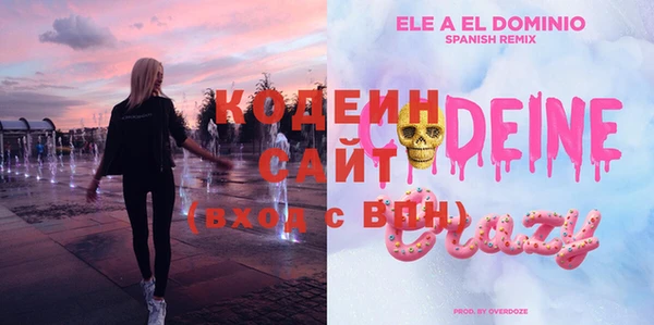 крисы Козельск