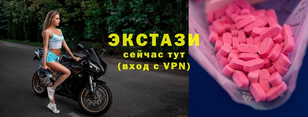 крисы Козельск