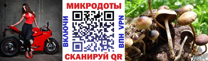 Галлюциногенные грибы Magic Shrooms  Курчатов 